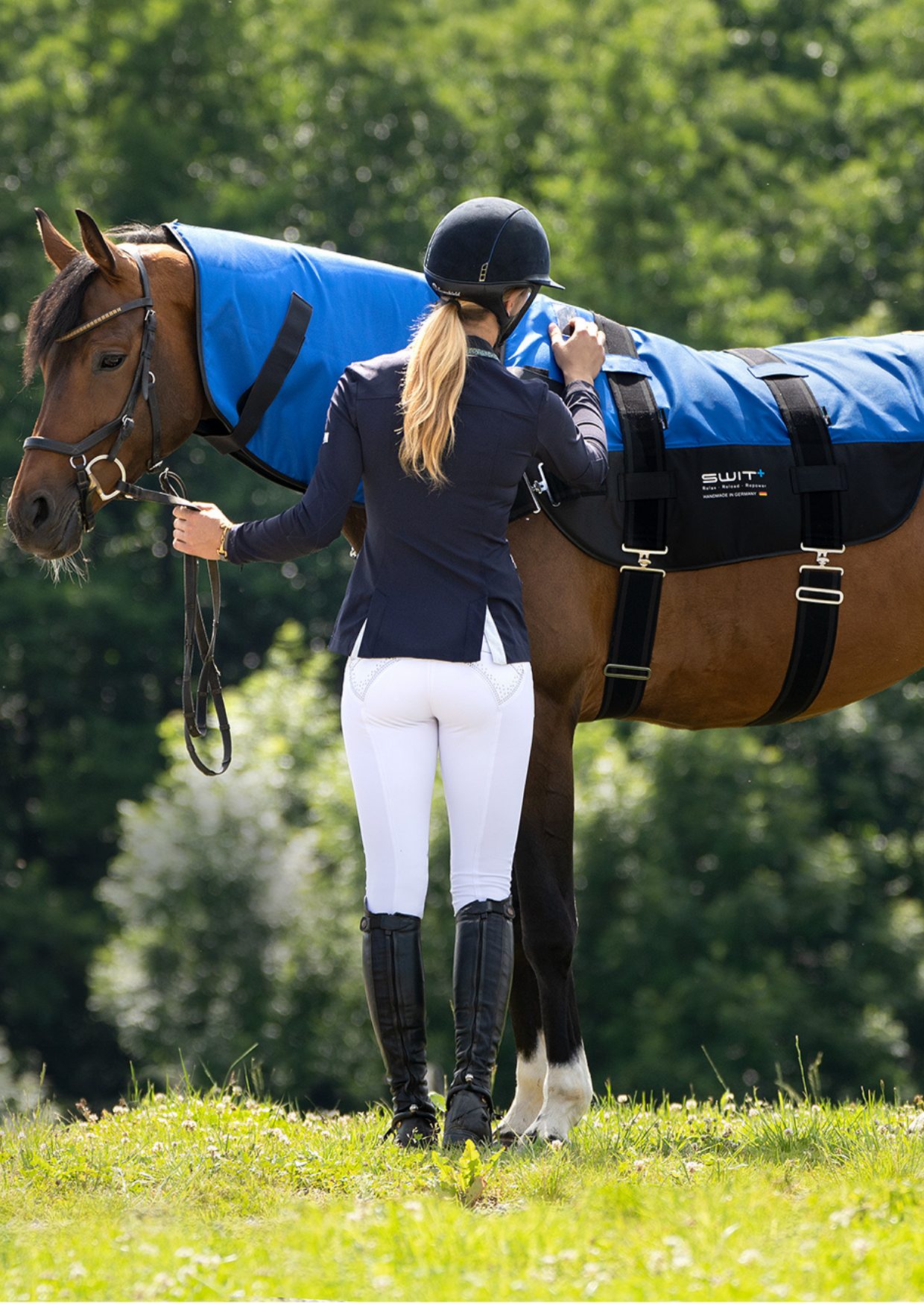 SWIT+ Products Horse