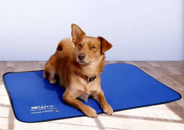 SWIT® Hundematte mit integriertem Neurobalance-System in verschiedenen Farben und 5 Modi für Entspannung, Fokus & Regeneration