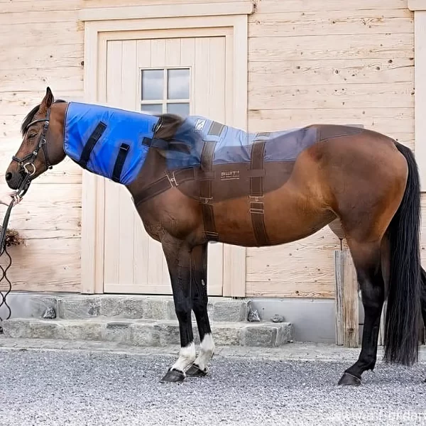 SWIT® Hybrid Neck Applicator with Neurobalance system for horses