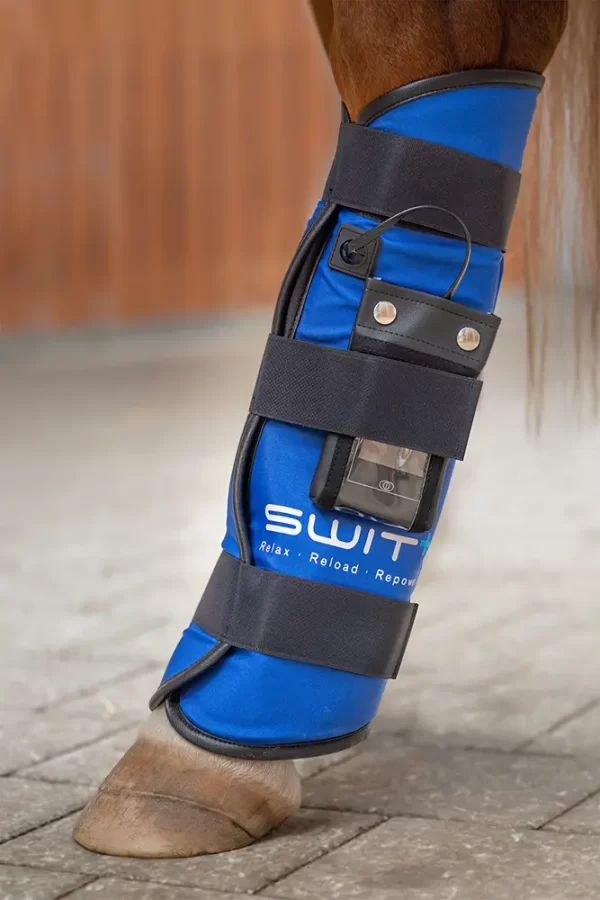 SWIT® Fesselgelenkgamaschen mit Neurobalance-System für Pferde – gezielte Gelenkunterstützung.