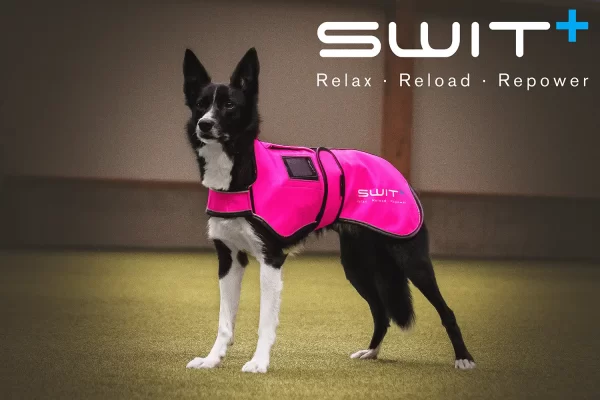 SWIT+ Dog Jacket - Image 3