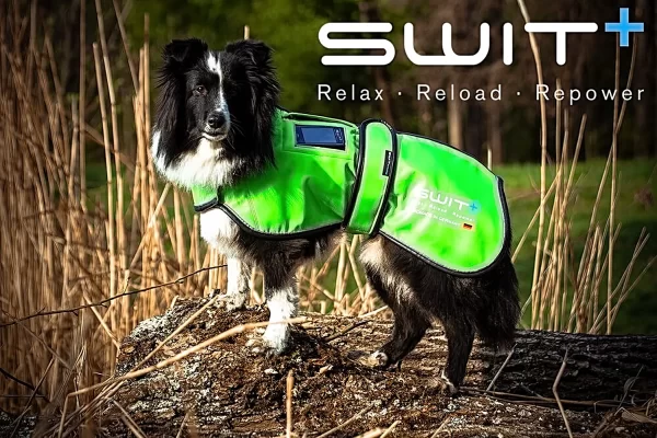 SWIT+ Dog Jacket - Image 2