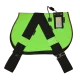 Get Set Green