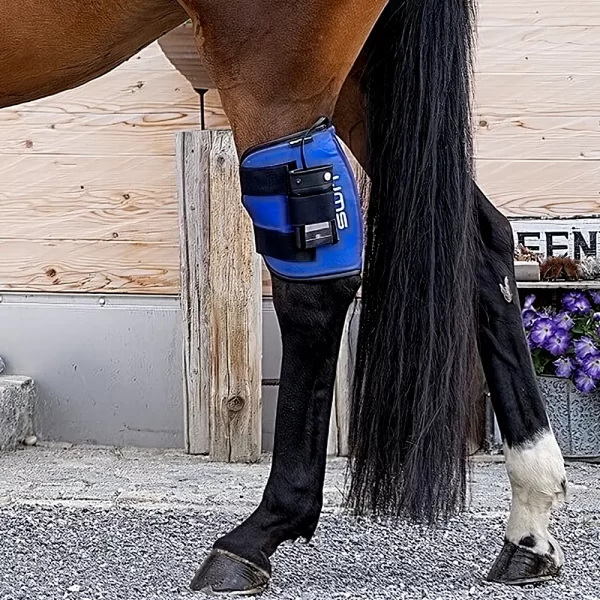 SWIT+ Spat Sprunggelenk-Gamasche für das Pferd – Bild 2