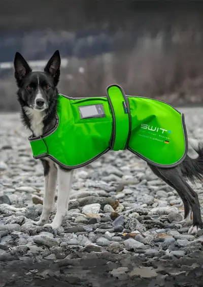 SWIT® Dog Jacket with integrated Neurobalance system – available in different colors with 5 modes to support relaxation, focus and recovery