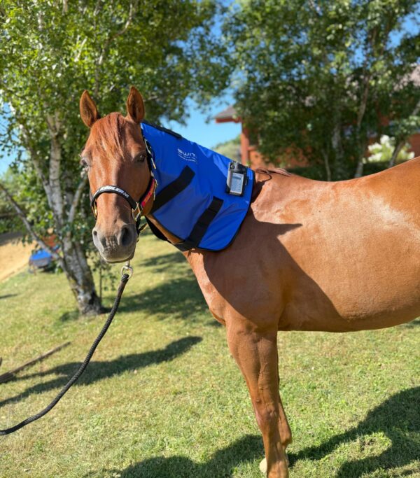 SWIT® Hybrid Neck Applicator with Neurobalance system for horses.