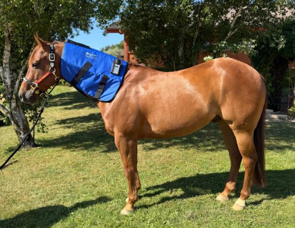 SWIT® Hybrid Neck Applicator with Neurobalance system for horses1