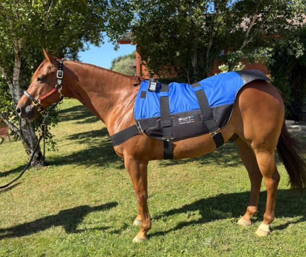 SWIT® Hybrid Saddle Pad with integrated Neurobalance system for horses