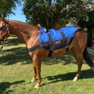 SWIT® Hybrid Saddle Pad with integrated Neurobalance system for horses