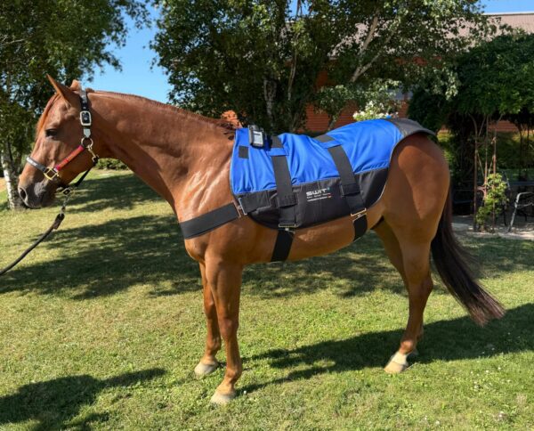 SWIT® Hybrid Saddle Pad with integrated Neurobalance system for horses