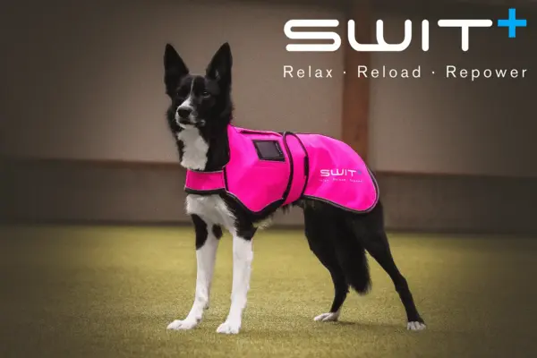 SWIT® Dog Jacket with integrated Neurobalance system – available in different colors with 5 modes to support relaxation, focus and recovery